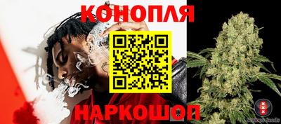 прущие крисы Татарск
