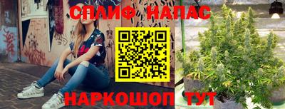 прущие крисы Татарск